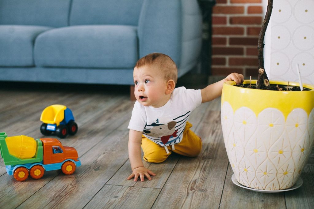 Baby crawling on the floor near a houseplant